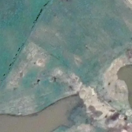 Gulu Gulu * Prawdowo