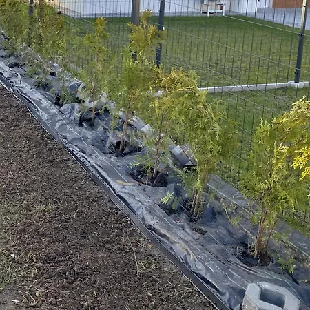 Роскошный шатер Gulu Gulu *